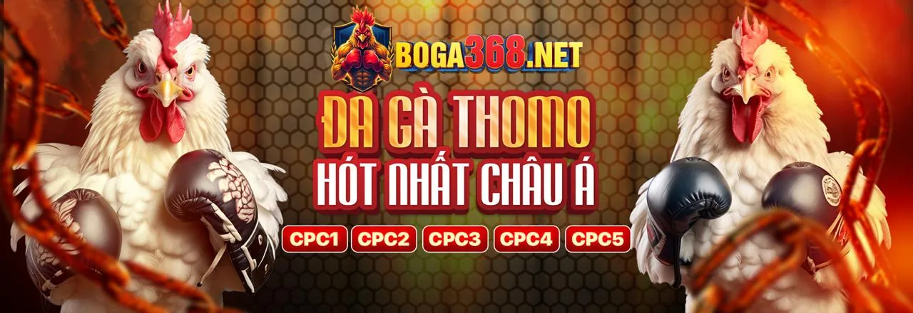 Đa dạng các loại hình đá gà tại dabet88 link mới